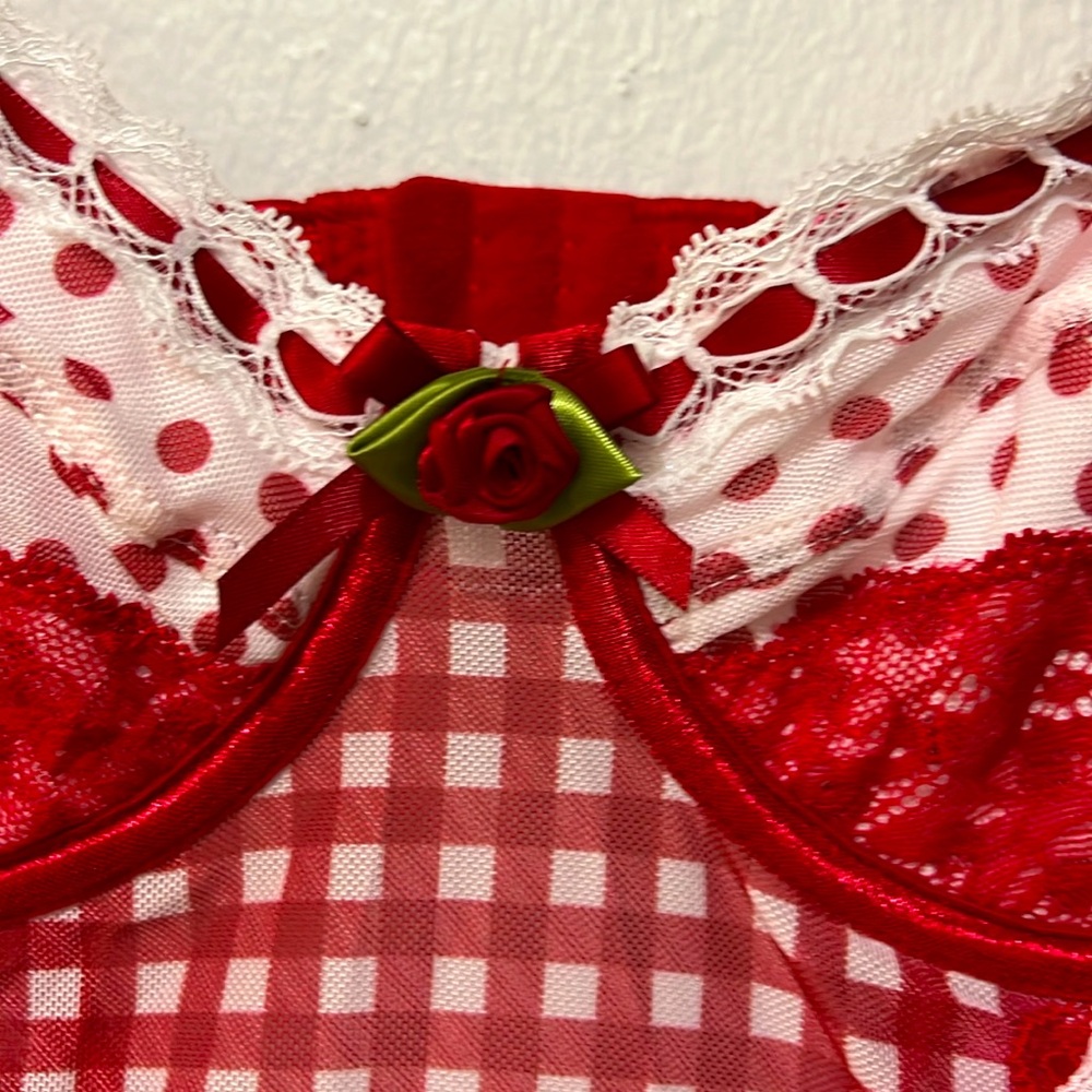 Gingham Teddy Lingerie one piece